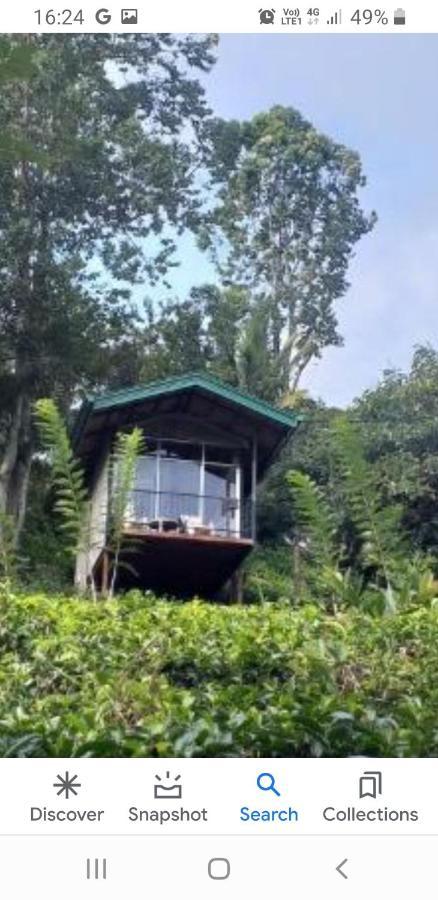 Tea Villas Ella Exterior photo